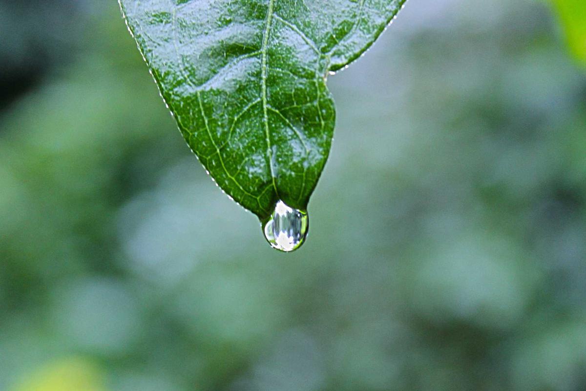 Viral! 8 Aplikasi Short Movie & TV Online Ini Bisa Hasilkan Saldo DANA Dari Nonton Video